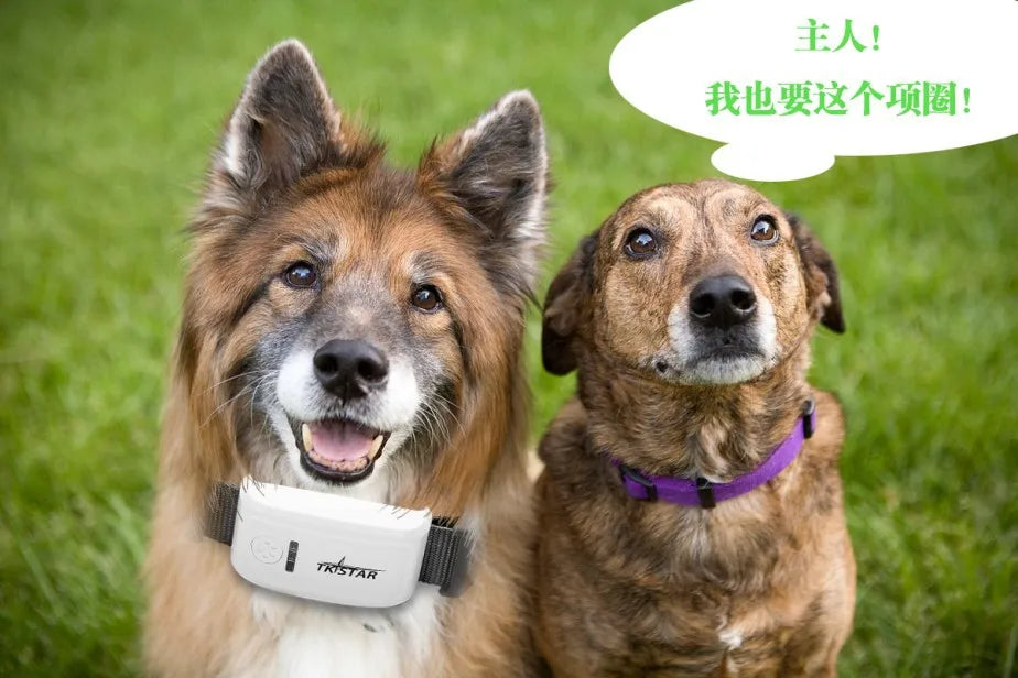 Pet GPS Tracker Locator Pet Smart Collar
