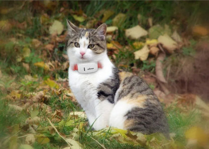 Pet GPS Tracker Locator Pet Smart Collar