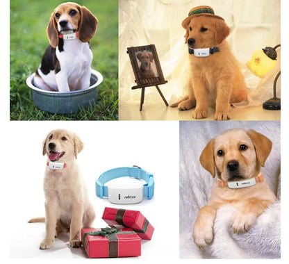 Pet GPS Tracker Locator Pet Smart Collar