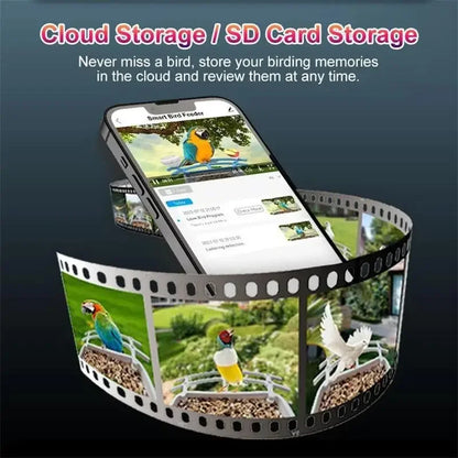 Smart Bird Feeder with Camera, Solar Powered, Auto Capture Videos & Notify of Birds Arrival