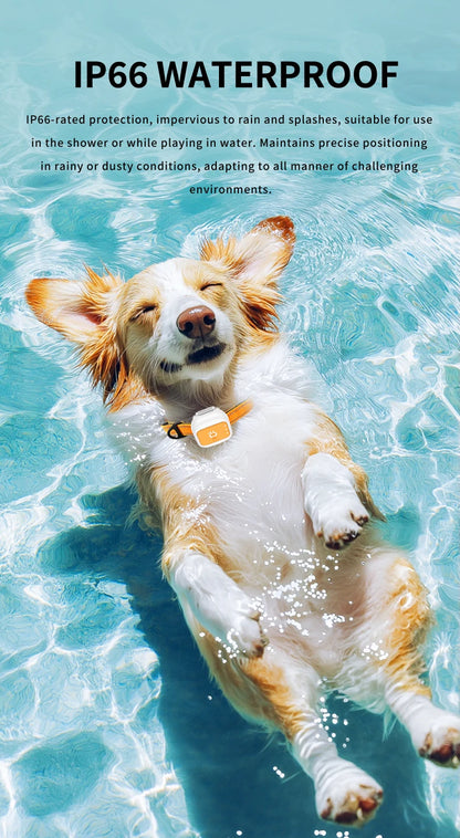 G01 GPS Pet Tracker Small & Waterproof with Long Battery Life.