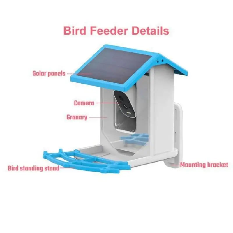 Smart Bird Feeder with Camera, Solar Powered, Auto Capture Videos & Notify of Birds Arrival