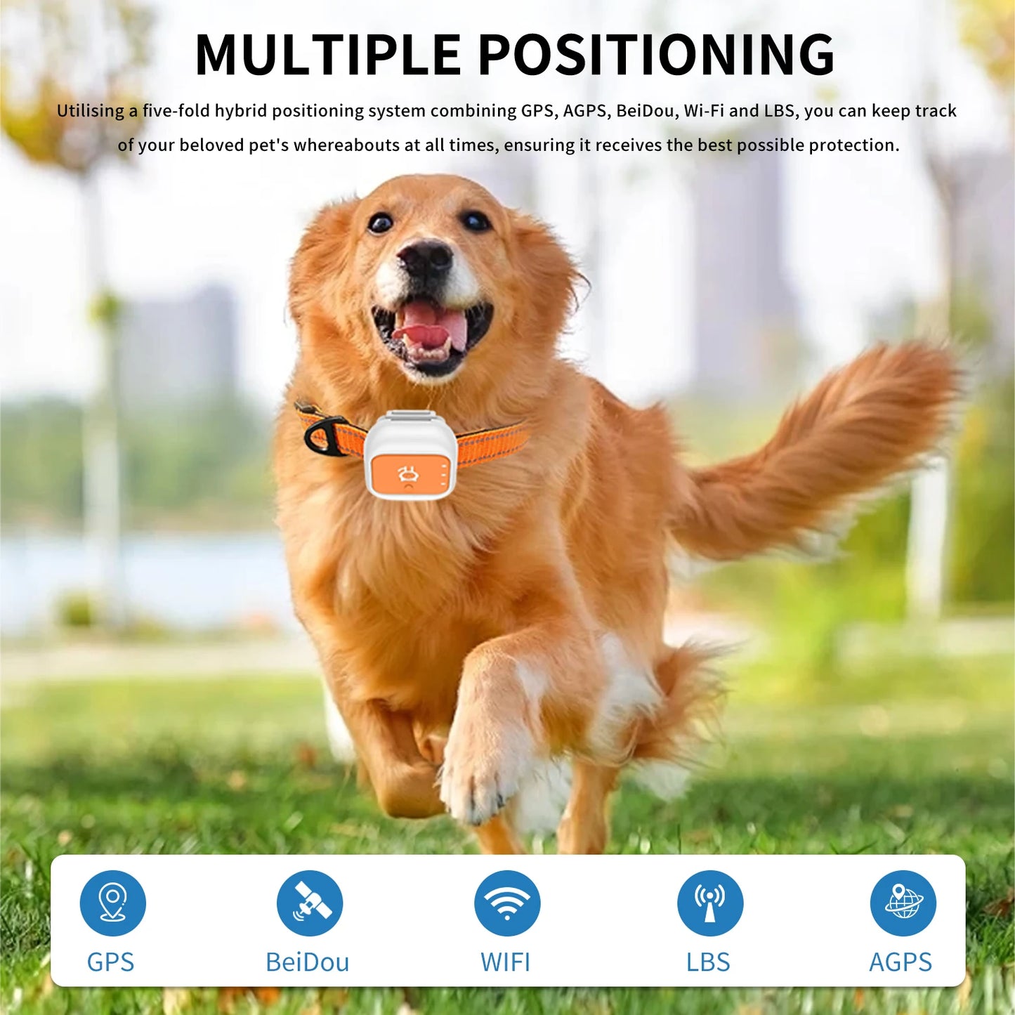 G01 GPS Pet Tracker Small & Waterproof with Long Battery Life.