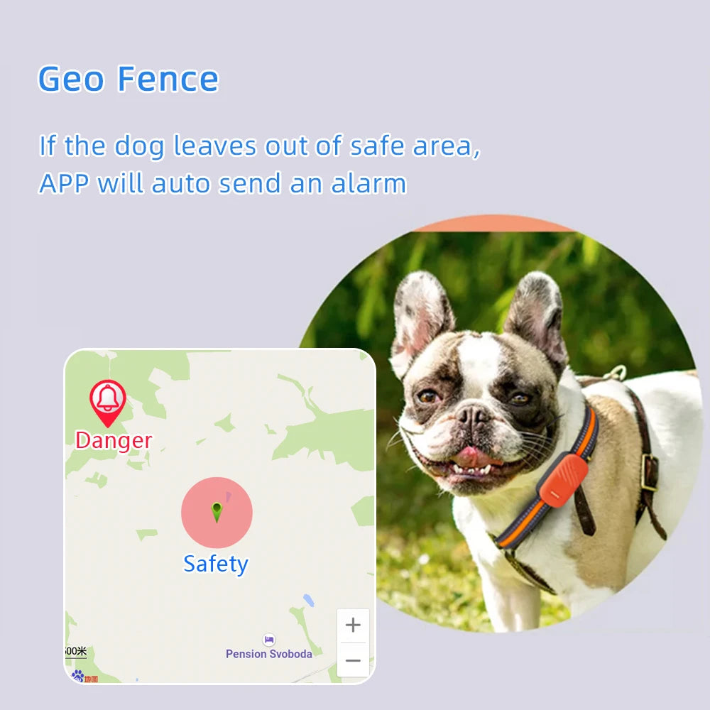 Pet Tracker GPS Collar Loss Prevention