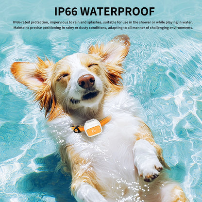 G01 GPS Pet Tracker Small & Waterproof with Long Battery Life.