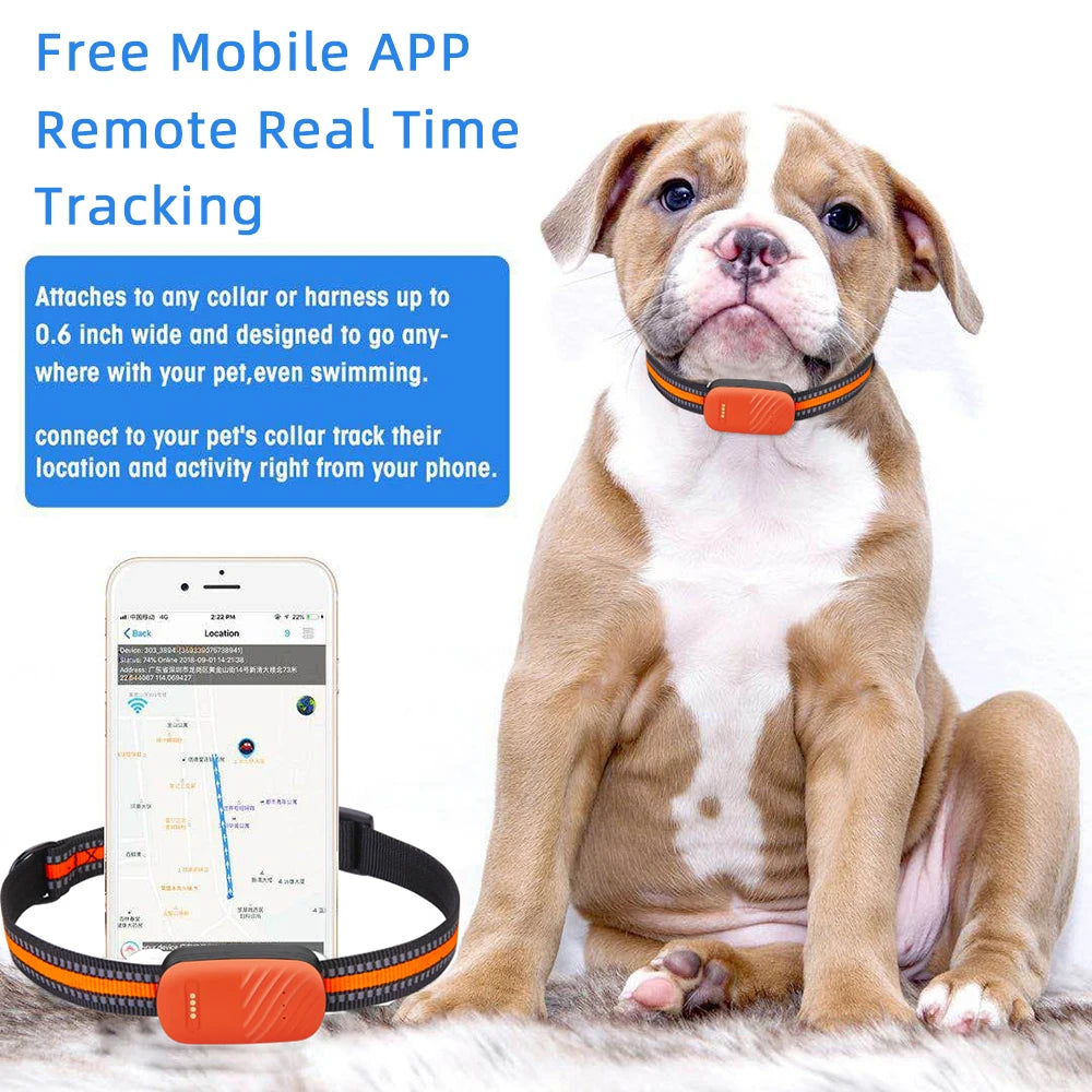 Pet Tracker GPS Collar Loss Prevention