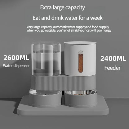 Automatic Pet Feeder and Waterer 2 in 1, Large Capacity Food  Dispenser with Timer, Smart Pet Bowl